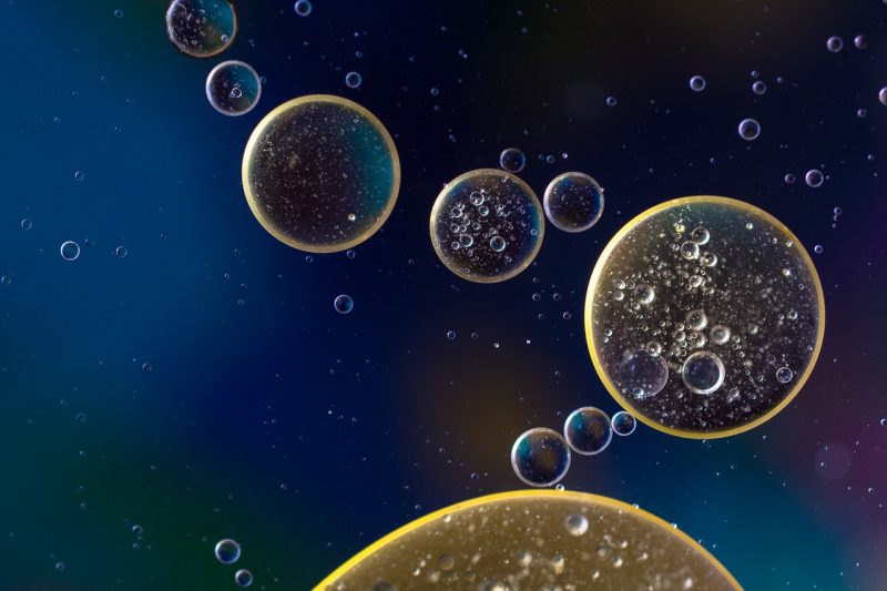 La “Immune Cell X” è un tipo completamente nuovo di cellula. Potrebbe innescare il diabete di tipo 1